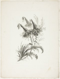 Bouquet, from Collection of New Flowers of Taste for the Manufacture of Persian Cloth..., 1765/70. Creator: Johann Heinrich Hess.