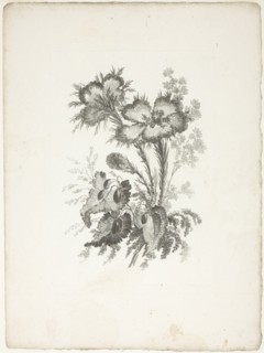 Bouquet, from Collection of New Flowers of Taste for the Manufacture of Persian Cloth..., 1765/70. Creator: Johann Heinrich Hess.