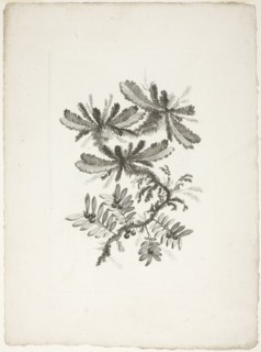 Bouquet, from Collection of New Flowers of Taste for the Manufacture of Persian Cloth..., 1765/70. Creator: Johann Heinrich Hess.