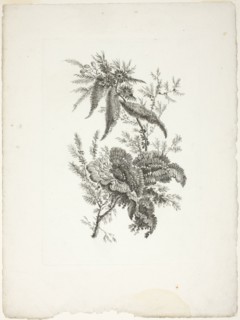 Bouquet, from Collection of New Flowers of Taste for the Manufacture of Persian Cloth..., 1765/70. Creator: Johann Heinrich Hess.