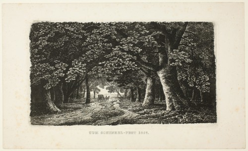 Woodland Path with a Coach, 1857. Creator: Karl Friedrich Schinkel.