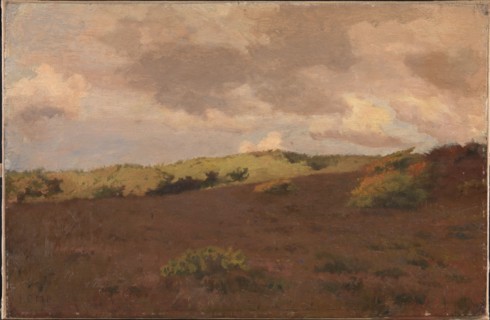 Heathland, autumn, 1902. Creator: Christian Mourier-Petersen.