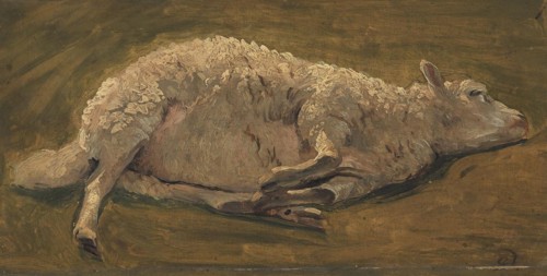 Study of a sheep lying down, 1846. Creator: Carlo Eduardo Dalgas.