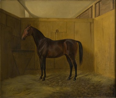 Bruno, 1848. Creator: Fritz Thomsen.