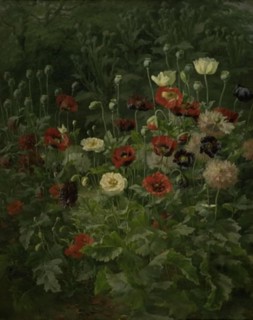 Poppies, 1892. Creator: Anthonie Leonore Christensen.