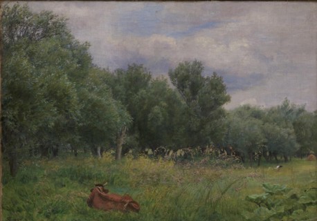 Willows at the edge of a meadow near Nyso, 1897. Creator: Niels Skovgaard.