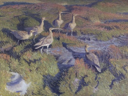 Curlews about to take flight, 1911. Creator: Vilhelm Theodor Fischer.
