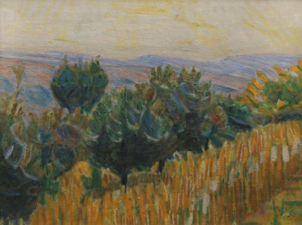 The Vine against the Light. A wheat field in the foreground. Villa Linda, Florence, 1923. Creator: Niels Larsen Stevns.