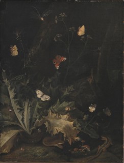 A Forest Floor with a Thistle, a Snake, a Lizard and Butterflies;Still Life, 1635-1678. Creator: Otto Marseus van Schrieck.