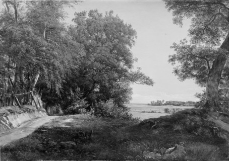 A Summer Morning beside the Deer Park Fence in Ordrup Spinney, North of Copenhagen, 1855. Creator: Thorald Brendstrup.