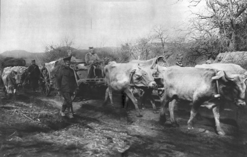 'Le Calvaire du Vieux Roi; Pierre 1cr Karageorgevitch quitte le territoire Serbesu..., 1915 (1924). Creator: Vladimir Betzitch.