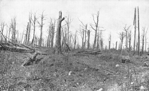 ''A Travers la Fournaise; En patrouille dans un bois mutile de la region de Vaux', 1916 (1924) Creator: Unknown.
