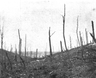 ''Le Champ de Bataille; La debouche du ravin de la Caillette', 1916 (1924) Creator: Unknown.