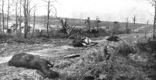 ''Paysages d'ete a Verdun; La route de Tavannes a Vaux, au mois de juillet 1916', 1916 (1924) Creator: Unknown.