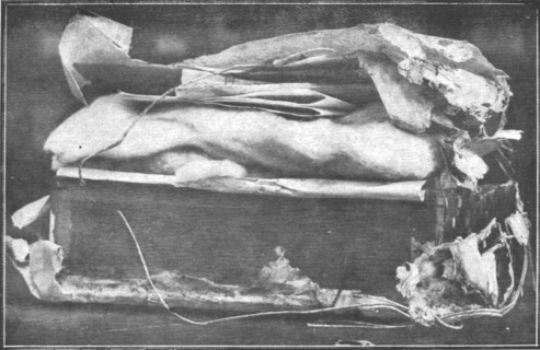 'Prevoyance; La caissette trouvee, le 22 septembre 1916, enfouie dans la cour de la..., 1916. Creator: Unknown.