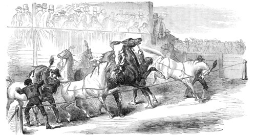 Carnival Races at Rome, 1856.  Creator: Unknown.
