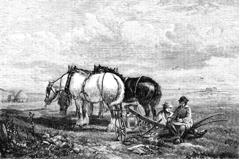 The Mid-Day Meal - painted by H. B. Willis - from the Exhibition of the National Institution, 1856 Creator: Harvey Orrin Smith.