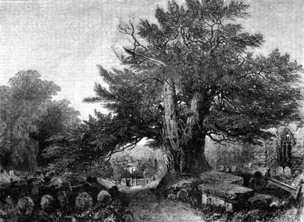 A Country Churchyard - painted by Samuel Read - from the Exhibition of the Society of British Arti Creator: Mason Jackson.
