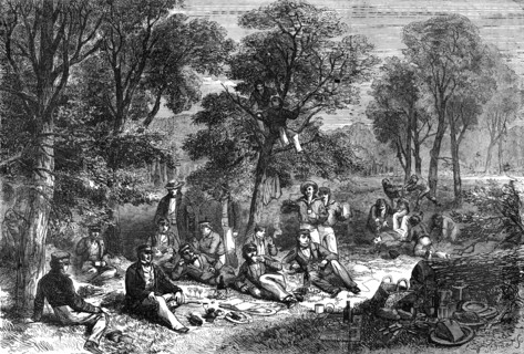 A Pic-Nic in the Baltic - drawn by J. W. Carmichael, 1856.  Creator: W Thomas.