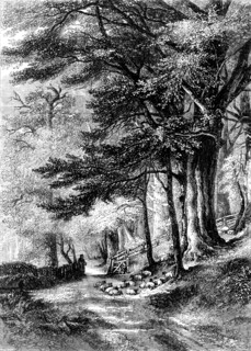 Entrance to the Fore Walk, Wotton, Surrey - painted by G. Barnard - from the Exhibition of the Nat Creator: Unknown.