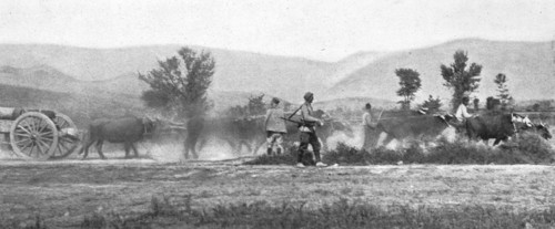 'Autour de la bataille du Kaimaktchalan; le transport de l'artillerie lourde sur le front de Macedoi Creator: Vladimir Betzitch.
