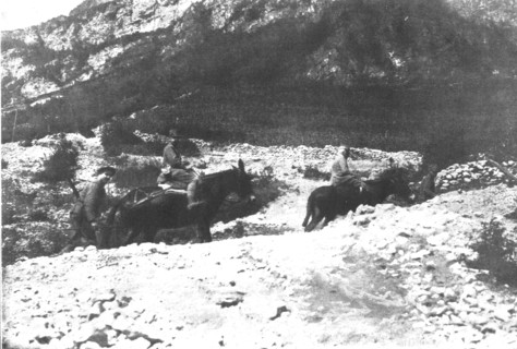 'Sur les fronts Italiens du Carso et du Trentin; le general Cadorna, a dos de mulet et suivi...,1916 Creator: Unknown.