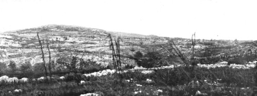 'Les succes Italiens du Carso; le Veliki Hriback, sur lequel le capitaine Gabriele..., 1916. Creator: Unknown.