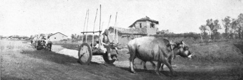 'De Florina a Monastir; les chars macedonies, herisses de pieux et traines par des boeufs', 1916. Creator: Unknown.