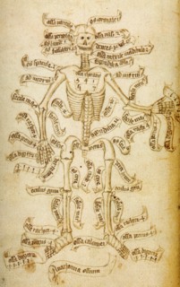 The skeleton and the names of the bones, 15th century. Creator: Anonymous.