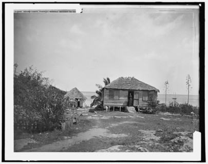Negro cabin, Foxhill, Nassau, Bahama Islds., c1901. Creator: William H. Jackson.
