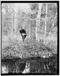 An Adirondack carry, c1902. Creator: William H. Jackson.