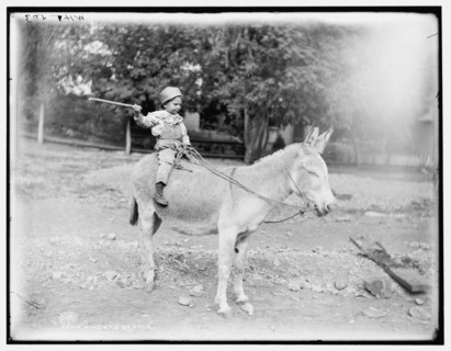 Kind and gentle, c1901. Creator: William H. Jackson.