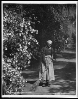 Aunt Phoebe, Magnolia-on-the-Ashley i.e. Magnolia Gardens, Charleston, S.C., c1901. Creator: William H. Jackson.