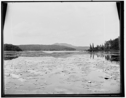 Saranac River and Round Lake, Adirondack Mountains, c1902. Creator: William H. Jackson.