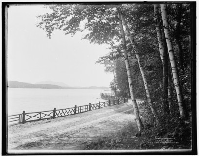 Pine Hurst Road, Lower Saranac Lake, Adirondack Mts., c1902. Creator: William H. Jackson.