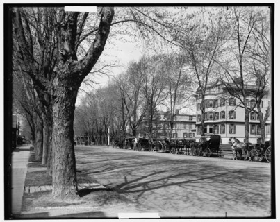 The Laurel House, Lakewood, N.J., c1901. Creator: William H. Jackson.