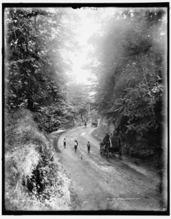 Mt. Royal Road, Montreal, between 1890 and 1901. Creator: William H. Jackson.