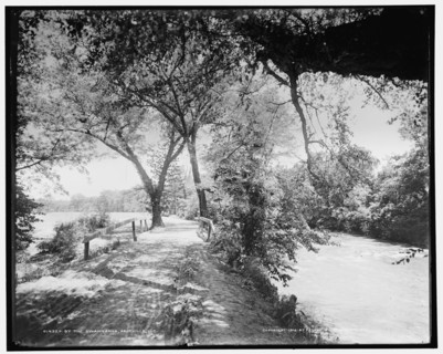 By the Swannanoa, Asheville, N.C., c1902. Creator: William H. Jackson.