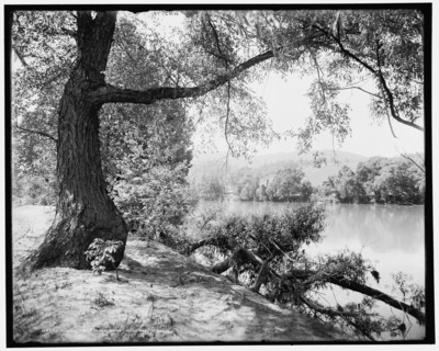 Across the French Broad near Hot Springs, N.C., (1902?). Creator: William H. Jackson.