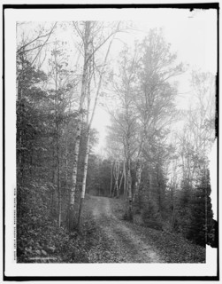 Leslie Avenue, Mackinac Island, Mich., c1902. Creator: William H. Jackson.