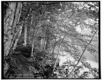 An Adirondack mountain path, c1902. Creator: William H. Jackson.