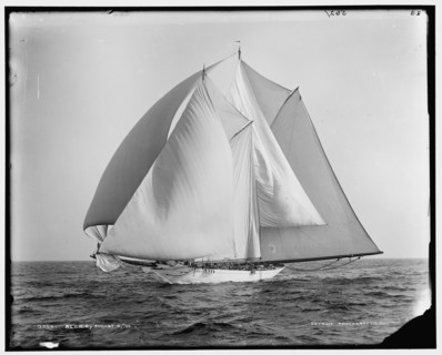 Alcaea, 1892 Aug 4. Creator: Unknown.