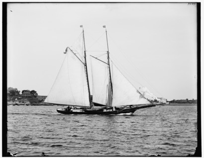 Bonita, between 1880 and 1899. Creator: Unknown.