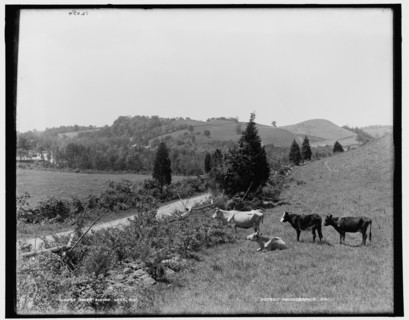 Swartswood Lake, N.J., between 1890 and 1901. Creator: Unknown.