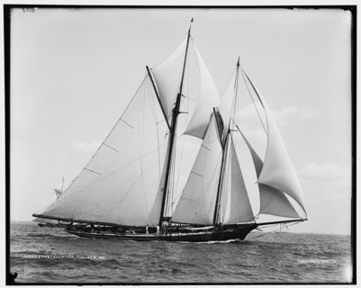 Constellation, 1891 Aug 8. Creator: Unknown.