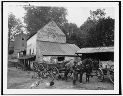 A Farm yard, Germantown, Pa., c.between 1900 and 1906. Creator: Unknown.