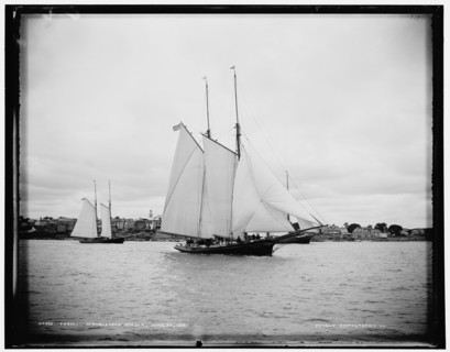 Foam, Marblehead harbor, 1888 June 28. Creator: Unknown.