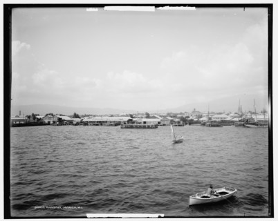 Kingston, Jamaica, W.I., between 1890 and 1901. Creator: Unknown.