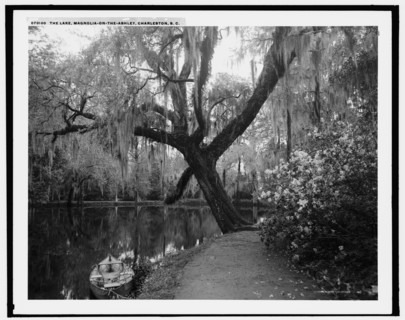 The Lake, Magnolia-on-the-Ashley, Charleston, S.C., c1907. Creator: Unknown.