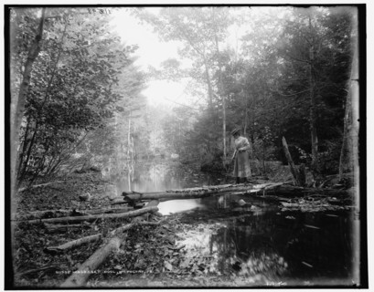 Wiscasset Pool, Mt. Pocono, Pa., between 1890 and 1901. Creator: Unknown.